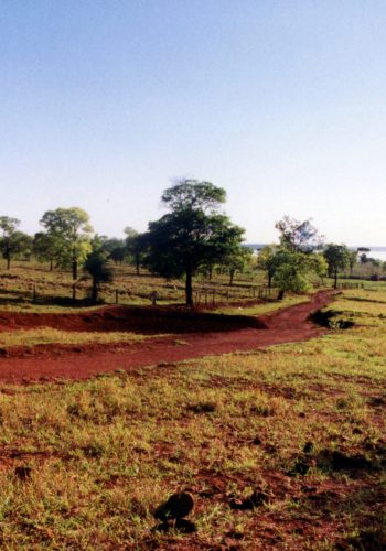 011 – Pastos da Fazenda Aldeia dos Índios, em São Francisco de Sales (MG)